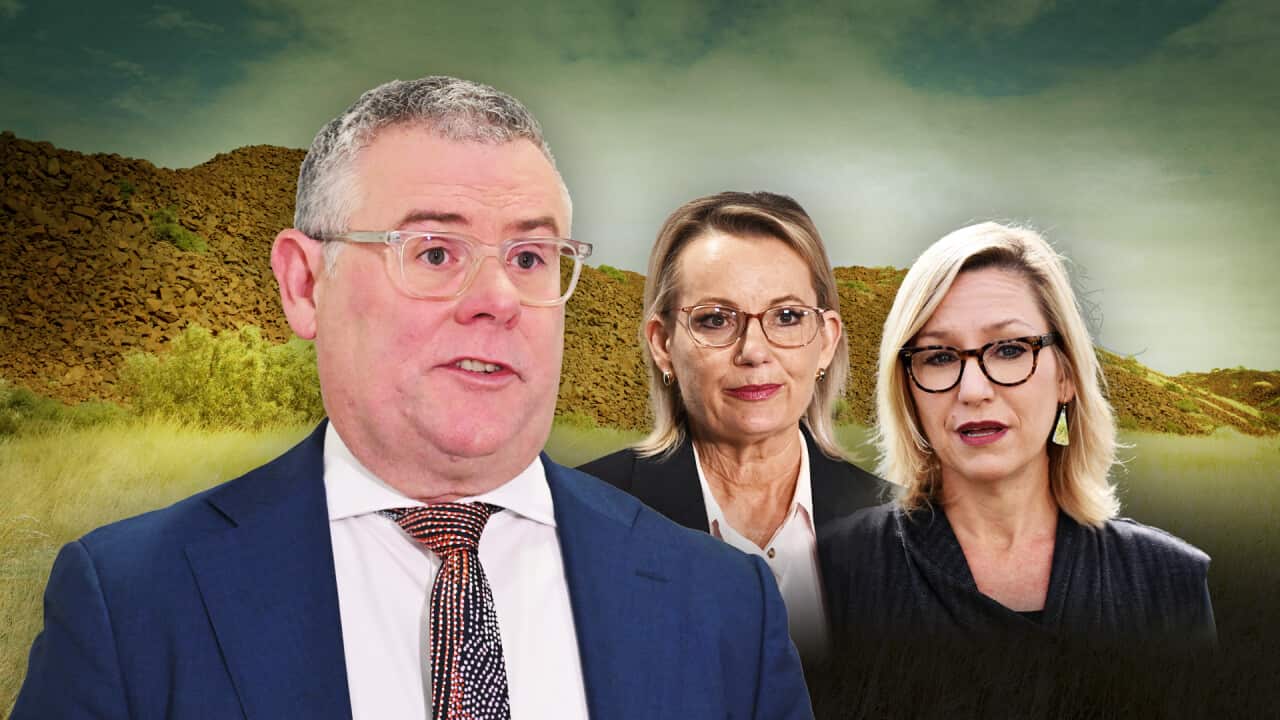 Three politicians, one man and two female, against a backdrop of the bush.
