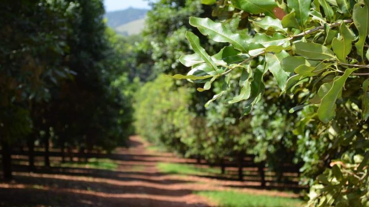 Flickr/Stephanie Watson CC BY-SA 2.0