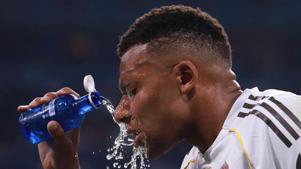 UEFA Champions League: Real Madrid vs Olympique Marsella