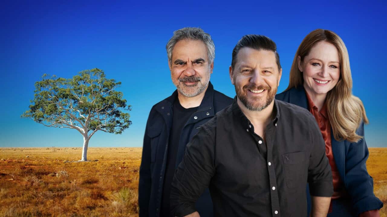 Image for read more article 'WATCH via SBS On Demand'