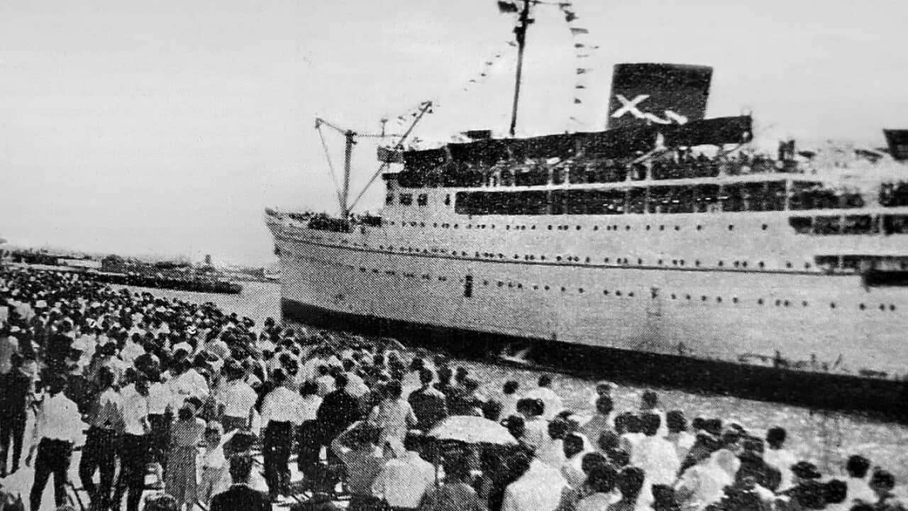"Patris" arriving in Melbourne, 1961 / Greek-Australian Cultural League / Public Domain 