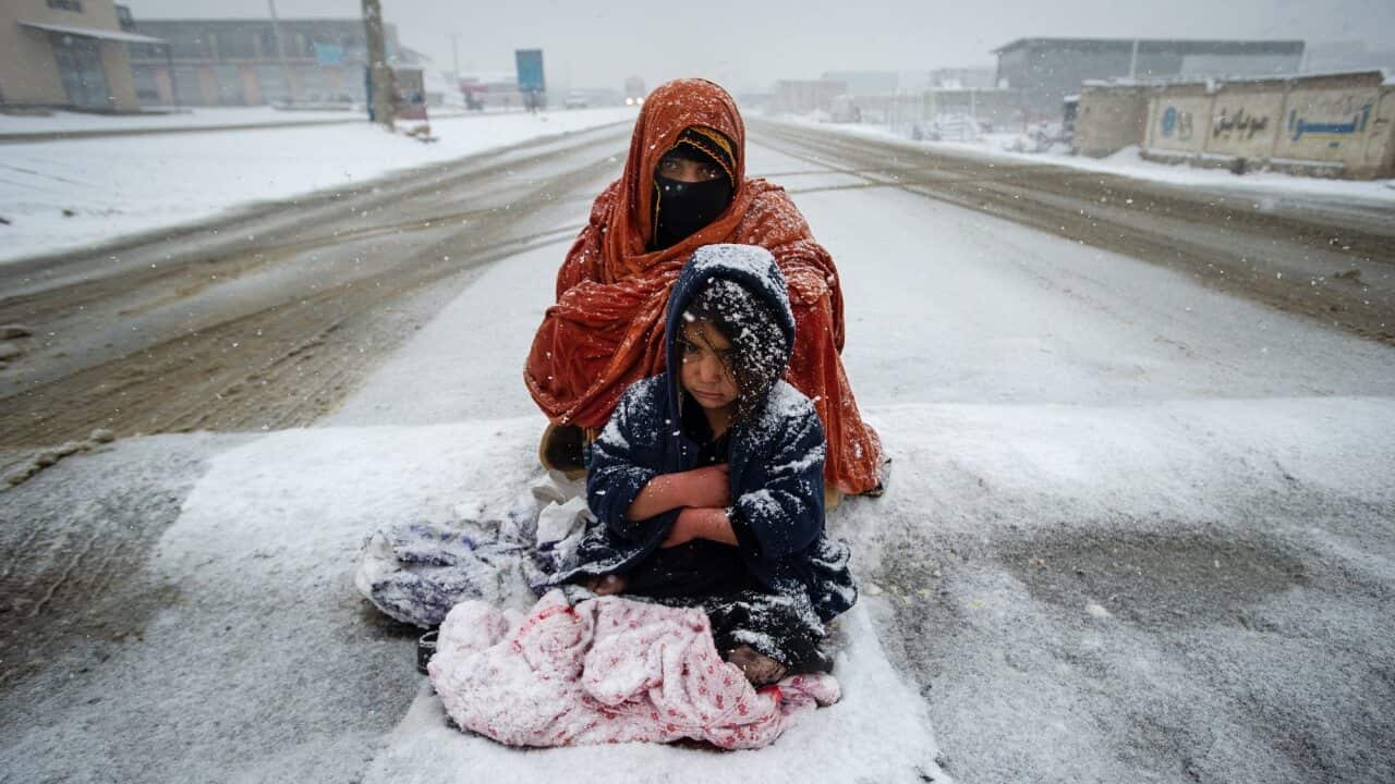More than five million children are expected to face crisis levels of hunger in Afghanistan as the country faces a humanitarian disaster.