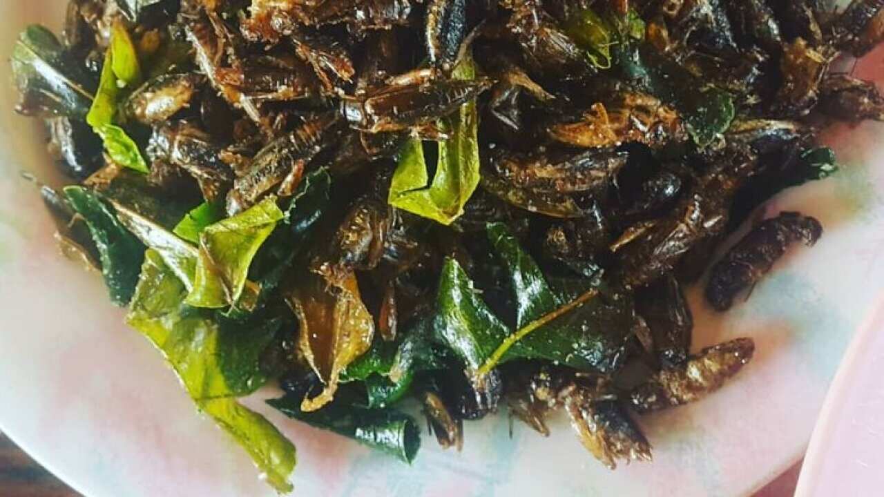 Image for read more article 'Δείτε ακόμα'