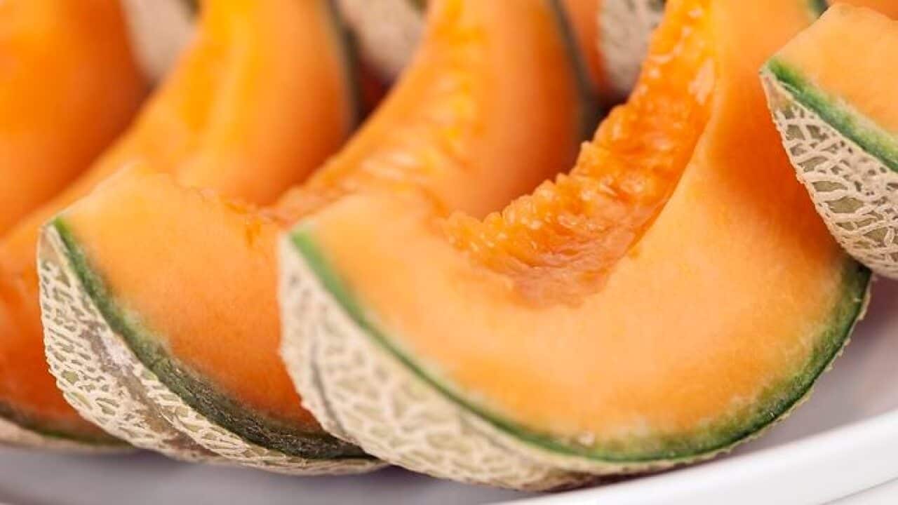 Rockmelons