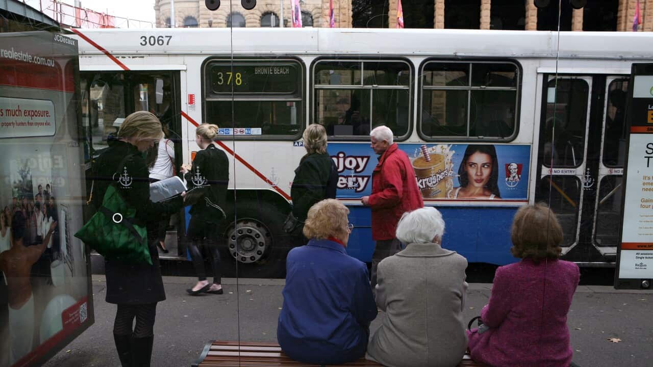 SYDNEY GOVERNMENT BUS STOCK