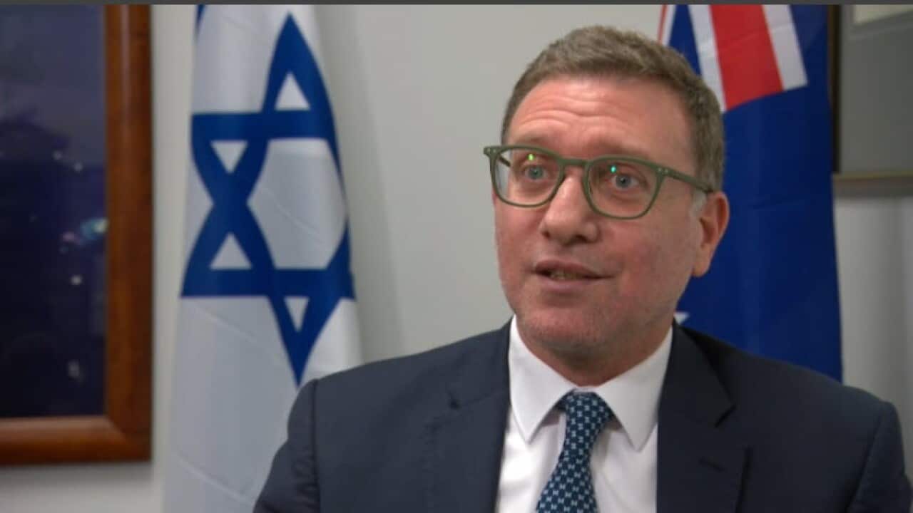 Christian Cantor speaking to Anna Henderson (SBS).jpg