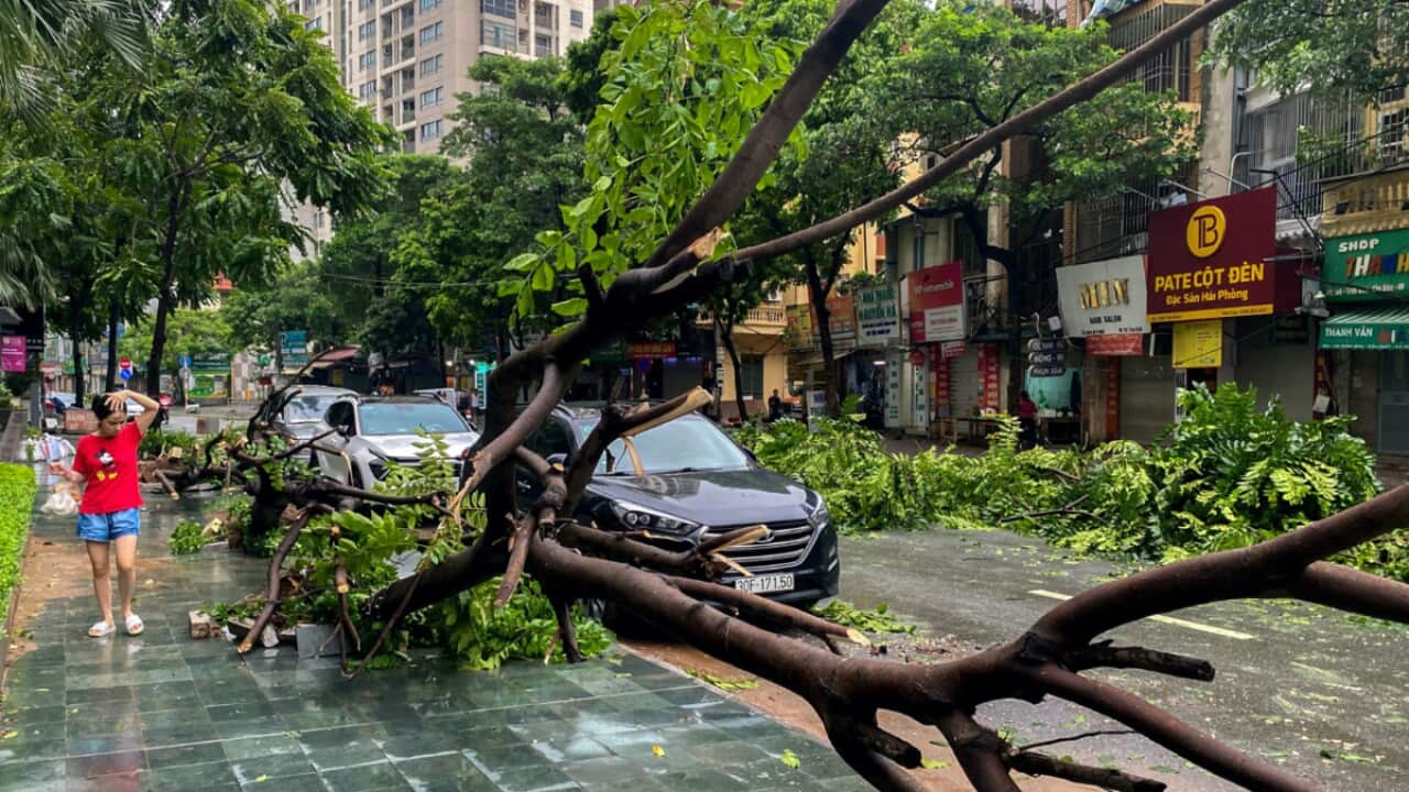 Vietnam-Hanoi-damage-after-Typhoon-Yagi-080924008.jpg