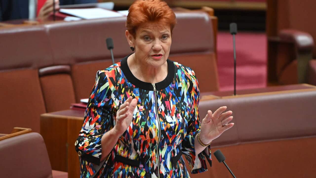 Calls for Hate Speech Charges Against Pauline Hanson