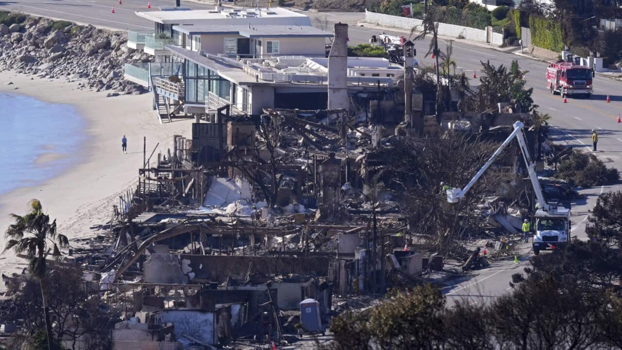 Image for read more article ''