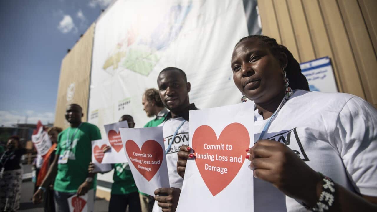 Activists hold signs calling for a climate adaptation fund outside the COP27 summit venue in Sharm El-Sheikh, Egypt.
