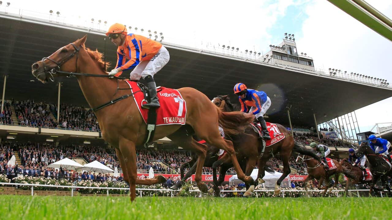 Image for read more article 'READ MORE'