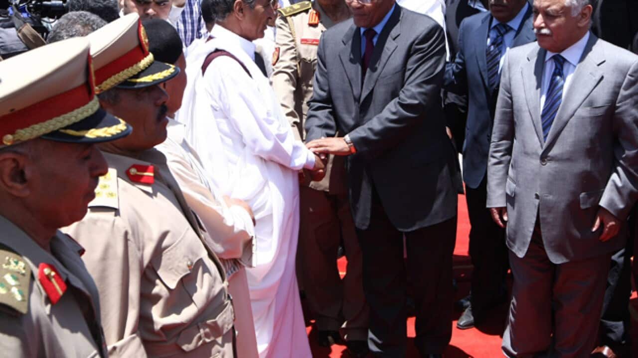 zuma_libya_PM_epa_str_b_110531_1195633076