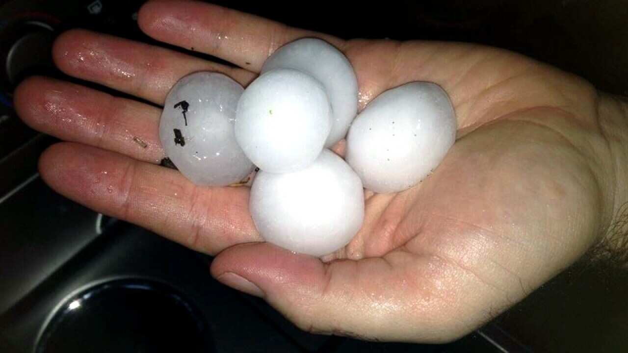 Large hailstones that fell on the Sunshine Coast