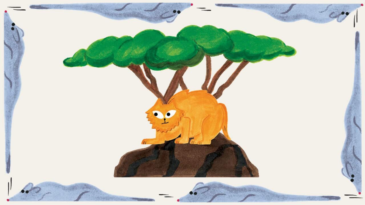 EPISODE_WEDDING CATS.jpg