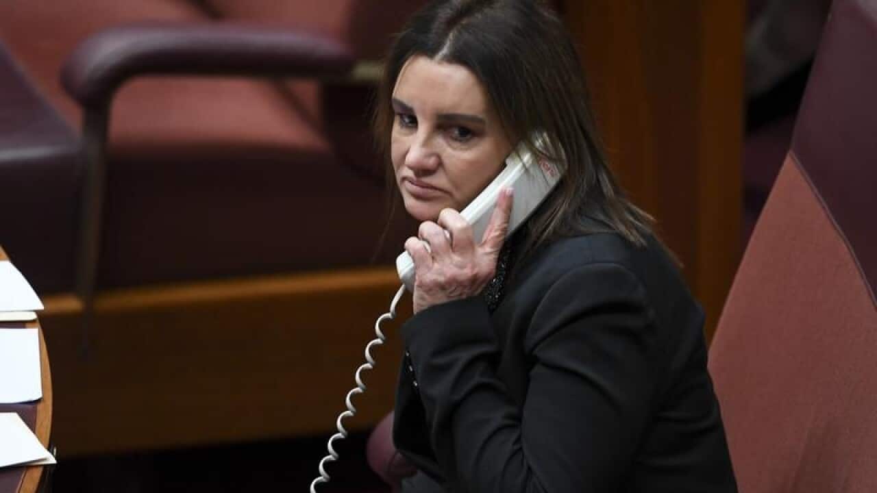 Senator Jacqui Lambie in the upper house chamber.