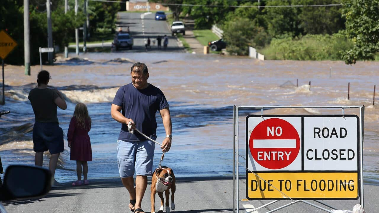 Logan is now 'ground zero' for Queensland's deadly flood crisis SBS News