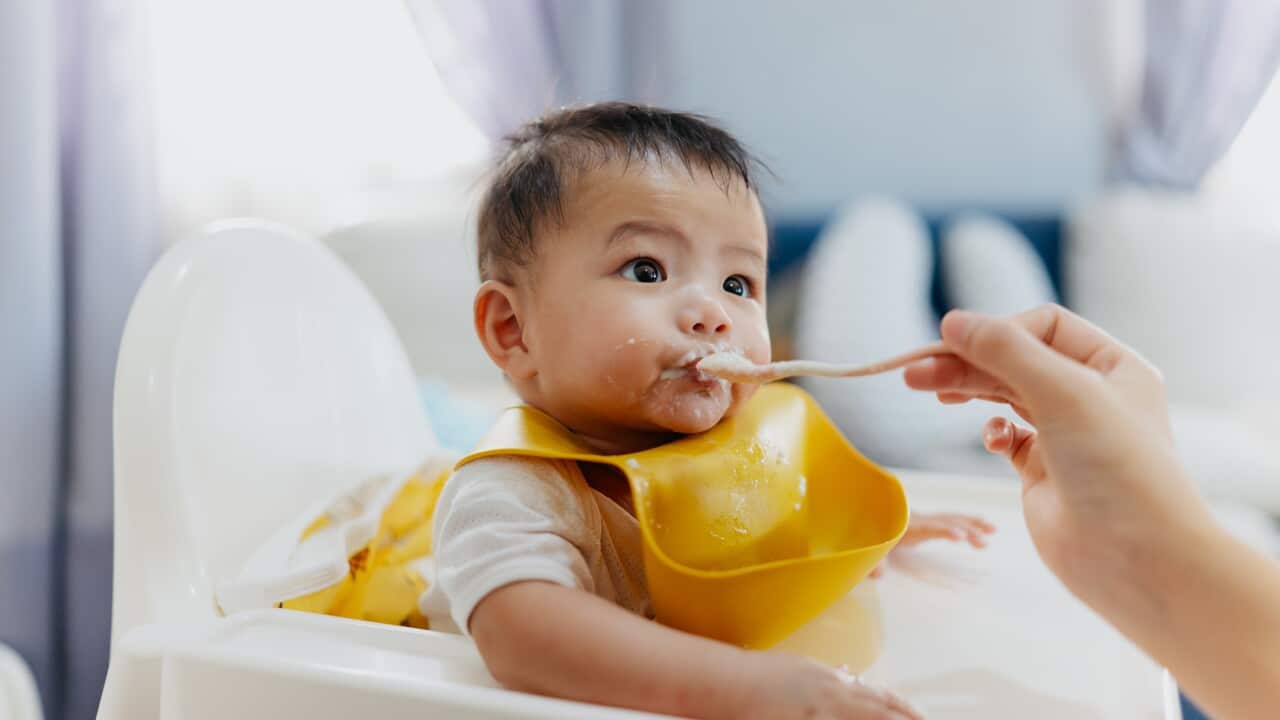 Image for read more article '相關內容'