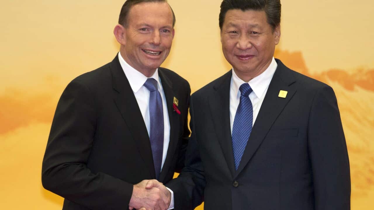 Australia's Prime Minister Tony Abbott, left, shakes hands with Chinese President Xi Jinping during a welcome ceremony for the Asia-Pacific Economic Cooperation.