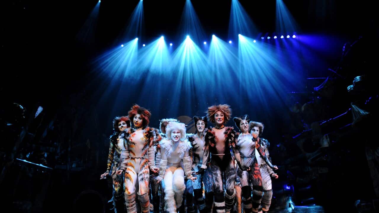音樂劇《CATS》大家都貴為經典,但其改編電影《CATS》,在2019年上映後就劣評如潮,就連音樂劇的作曲家Andrew Lloyd Webber在最近接受訪問時,亦不禁再提音樂劇改編電影而令心靈受創,甚至嚴重到要養狗來平復的經歷。