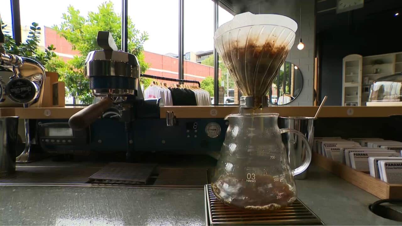 Distilling liquid gold - a cup of Panama Geisha coffee coming up