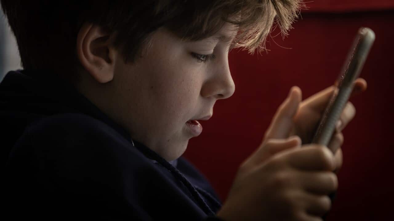 Image for read more article 'Otras noticias en español:'