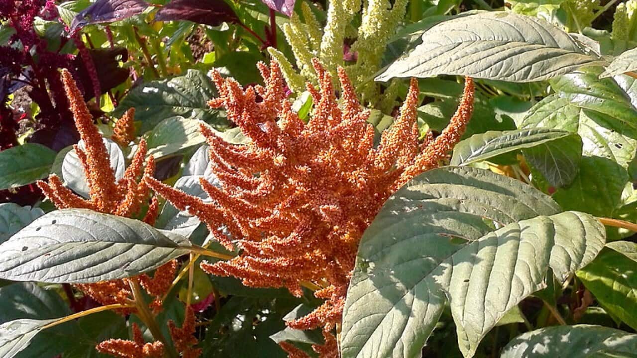 Image for read more article 'READ MORE'