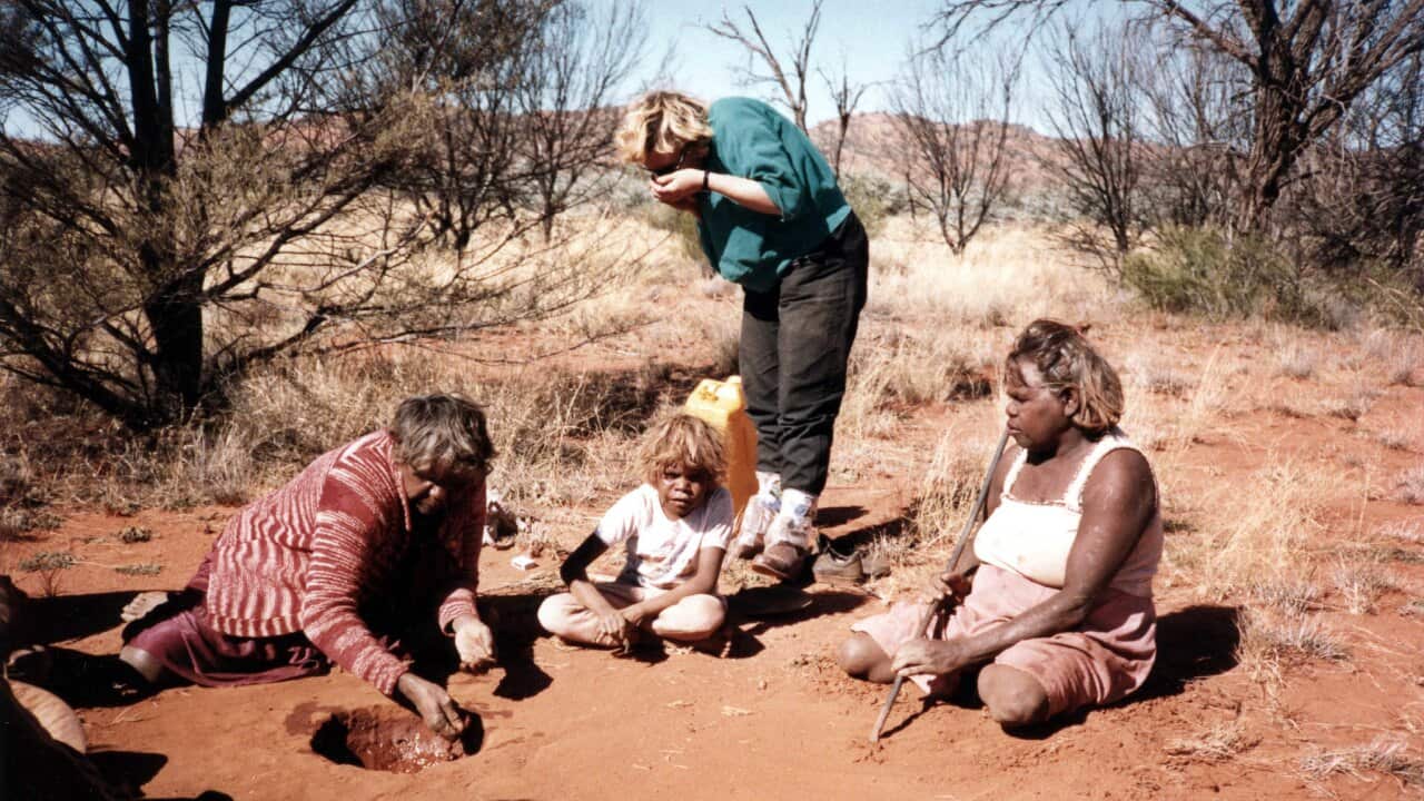 Translator, Linda Rive on a termite pavement, Nganyinytja lines a seed threshing pit she dug in a putu (pavement)