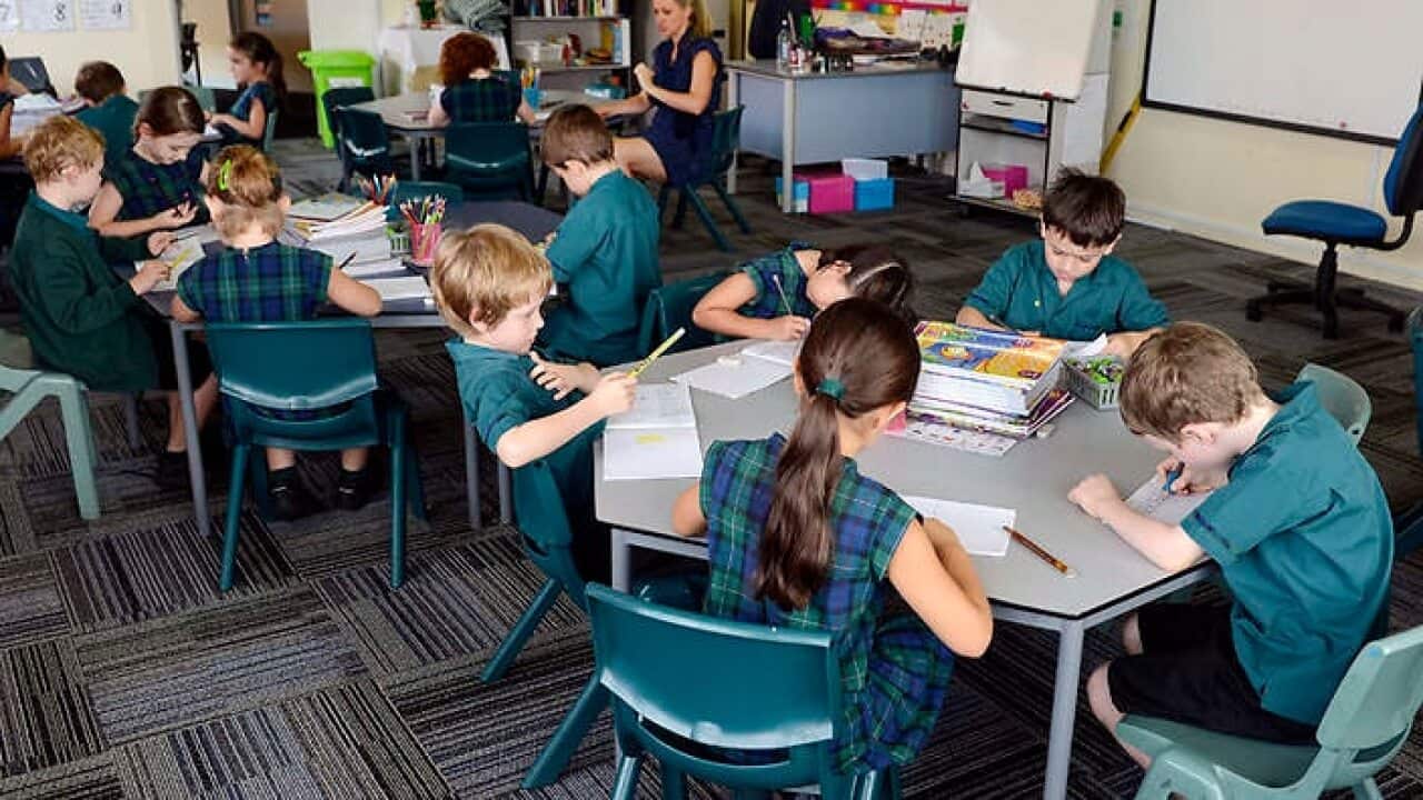 Migrant kids outperform in classroom.