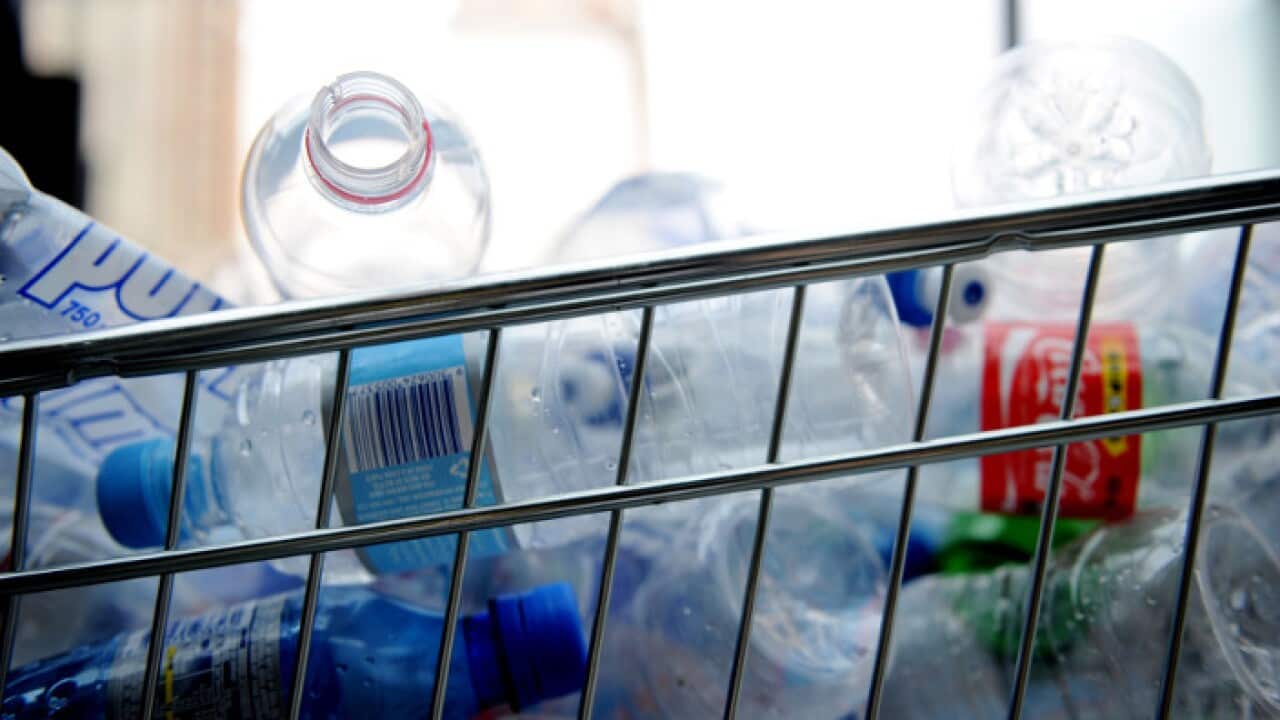 Empty plastic bottles