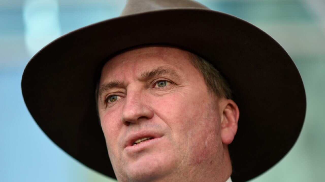 Australia's Deputy Prime Minister Barnaby Joyce