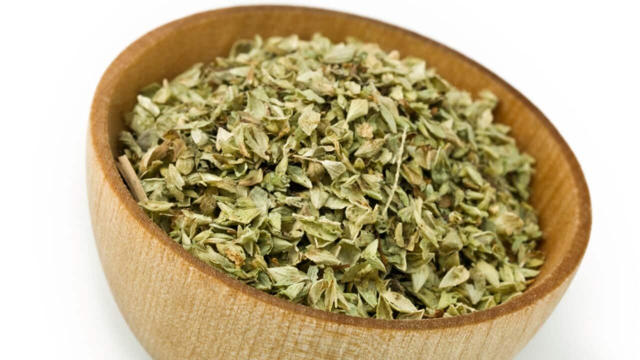 Oregano.