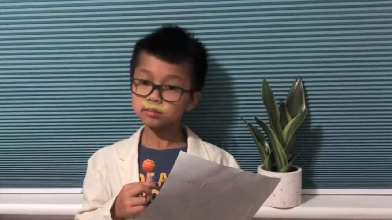 thumbnail_Cu Duc Phong dẫn bản tin.jpg