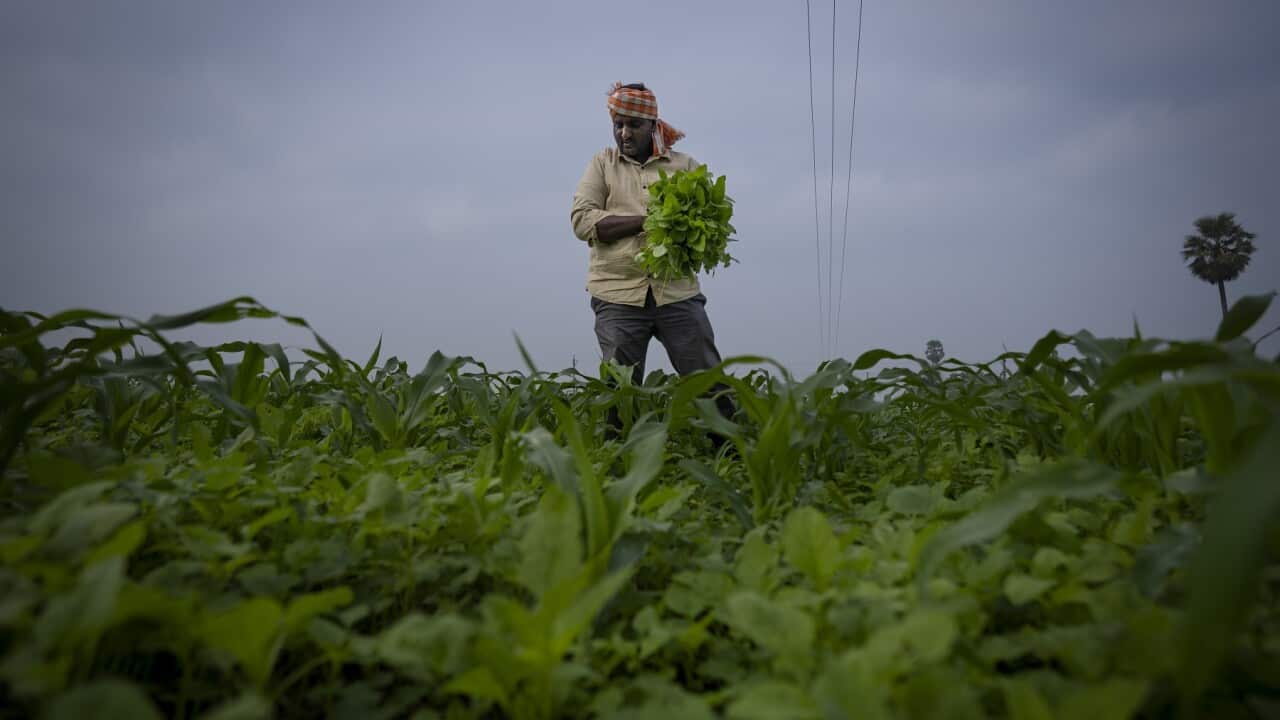 Climate Resilient Farming