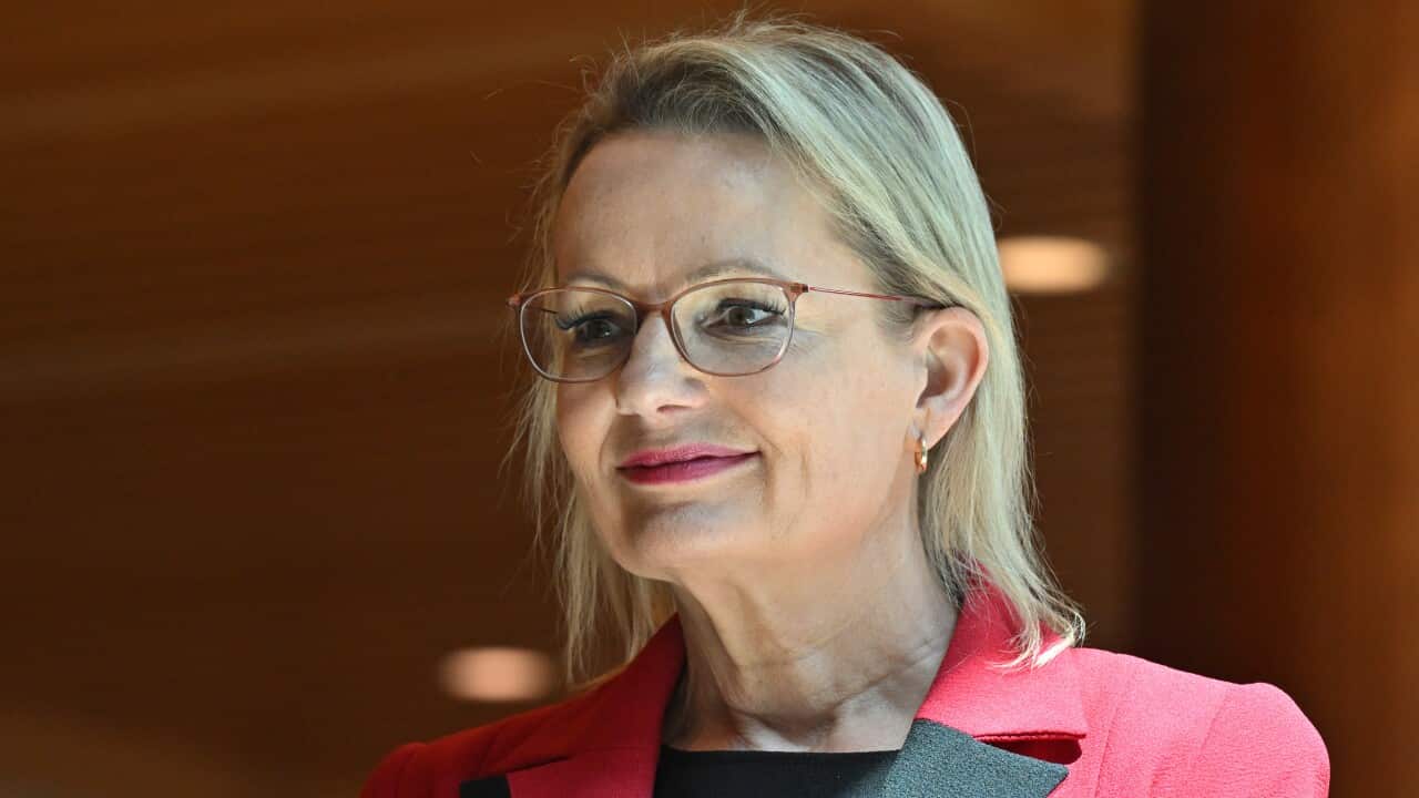 ANTHONY ALBANESE WISHING TREE