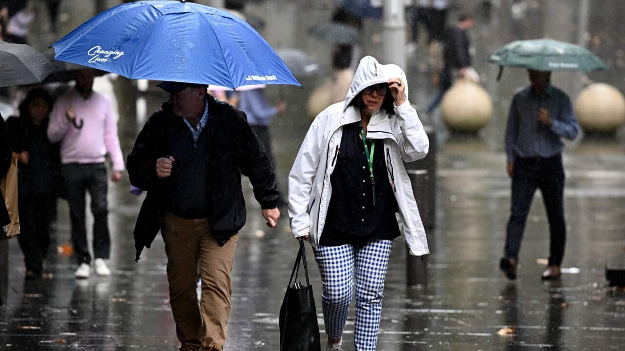WET WEATHER NSW
