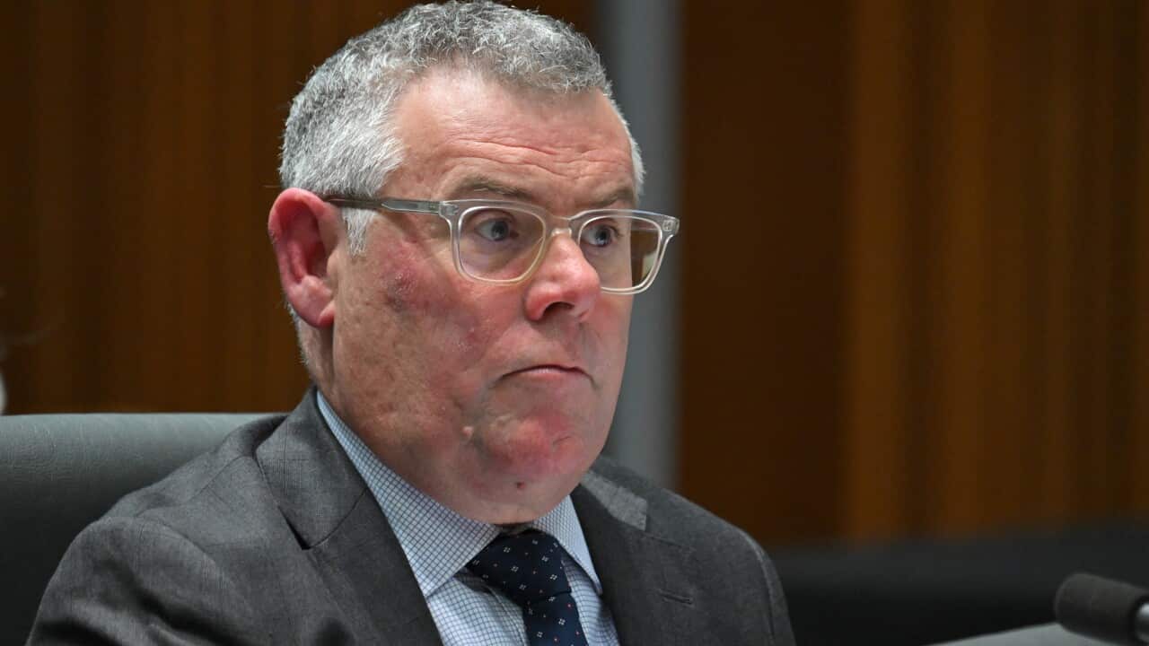 Murray Watt in glasses and a charcoal suit