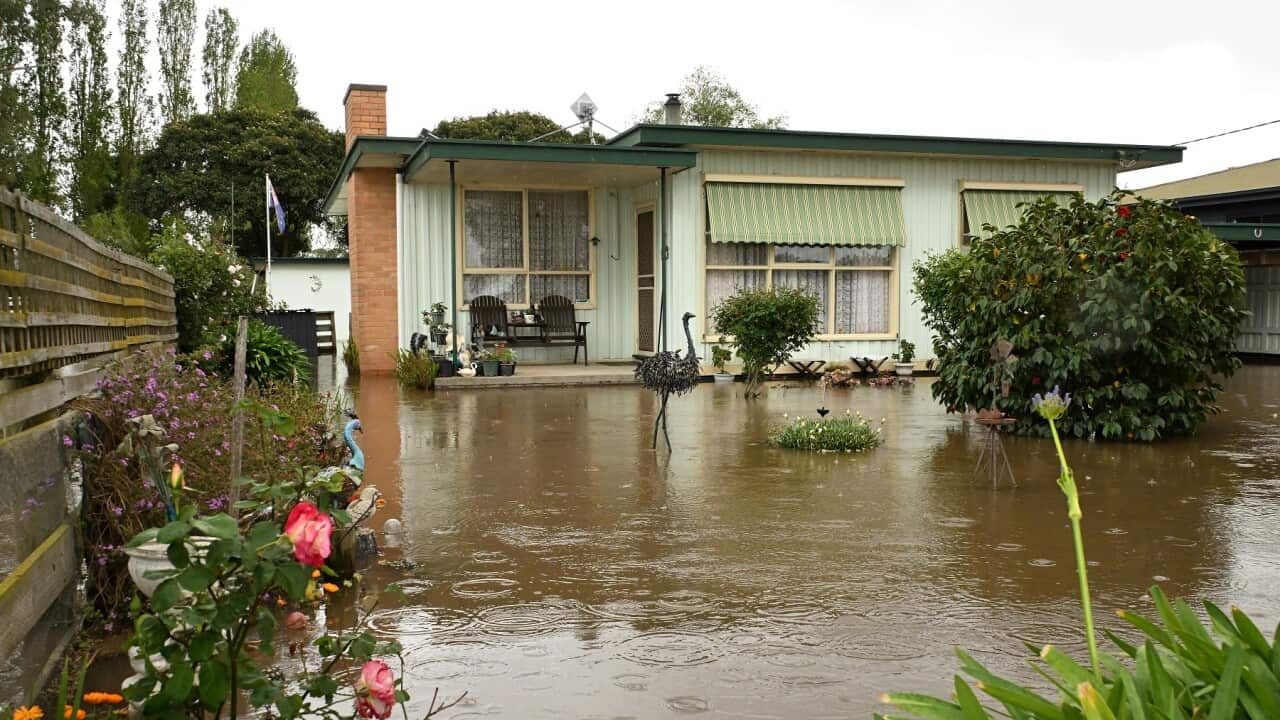 Image for read more article 'Te puede interesar:'