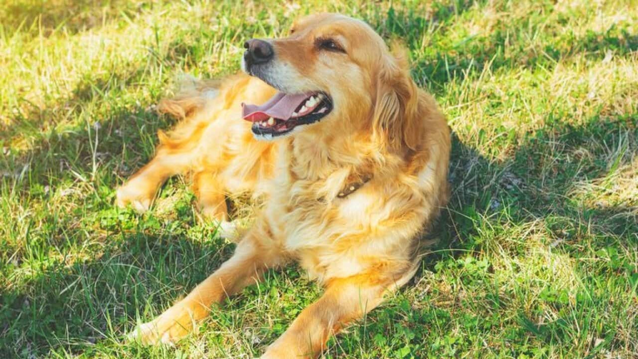 Image for read more article '更多內容'