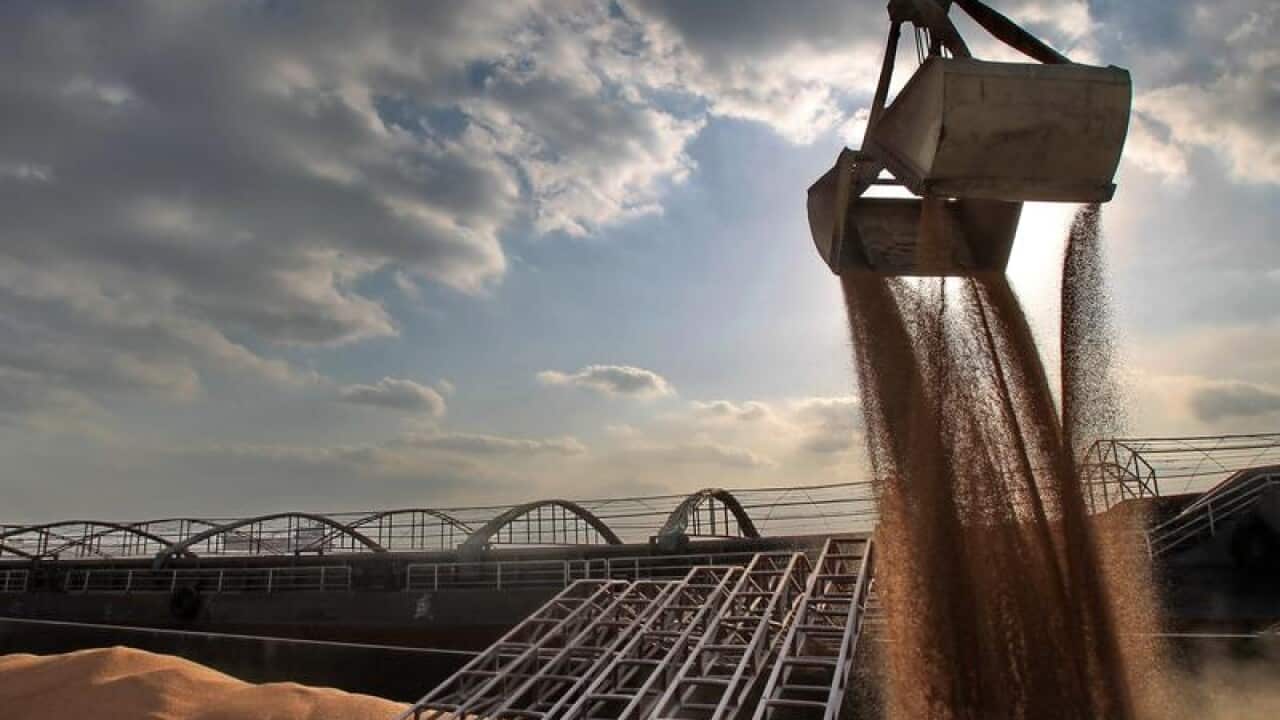Imported American soybeans at a Chinese port