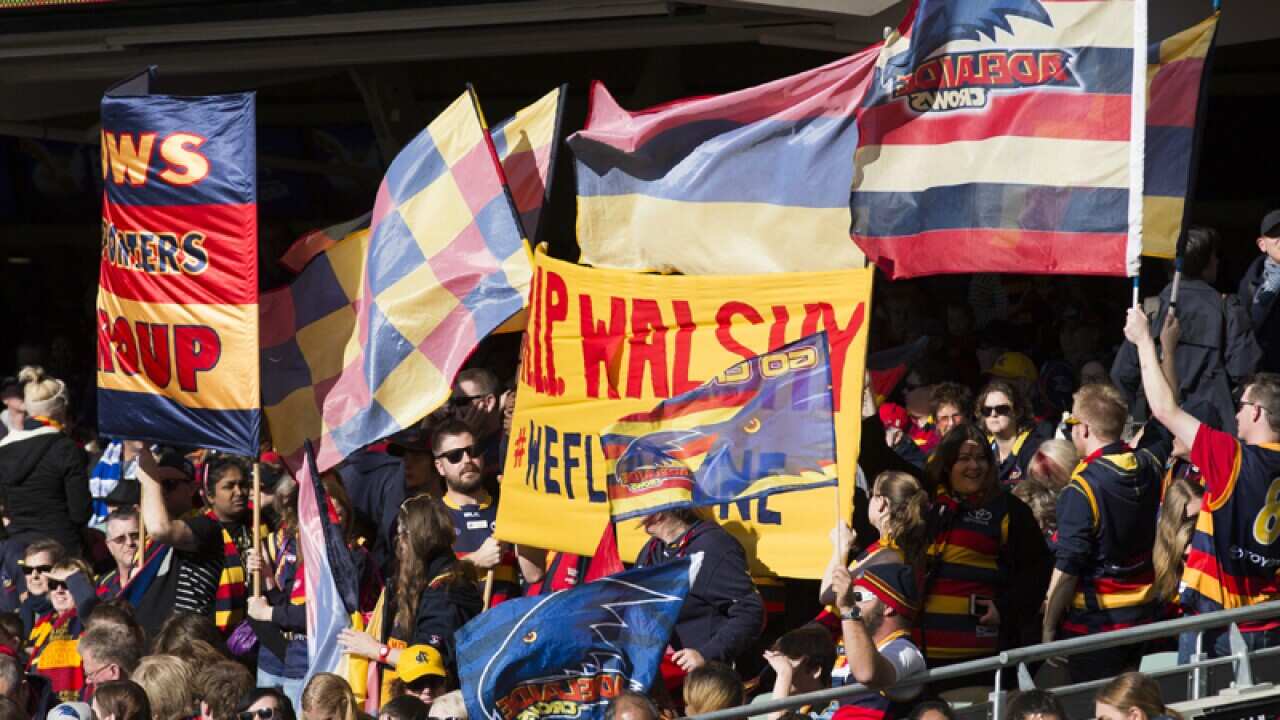 Image for read more article 'RELATED STORY:'