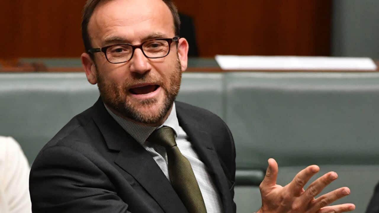 Greens MP Adam Bandt.