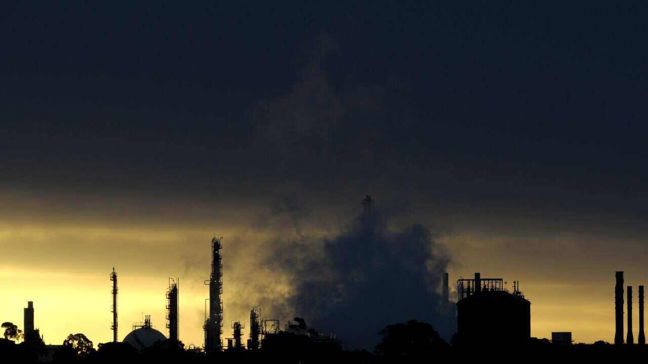 The government is cautiously optimistic it will succeed in getting its carbon tax repeal through the Senate 