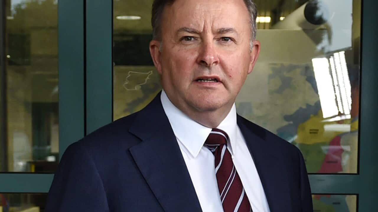 Anthony Albanese