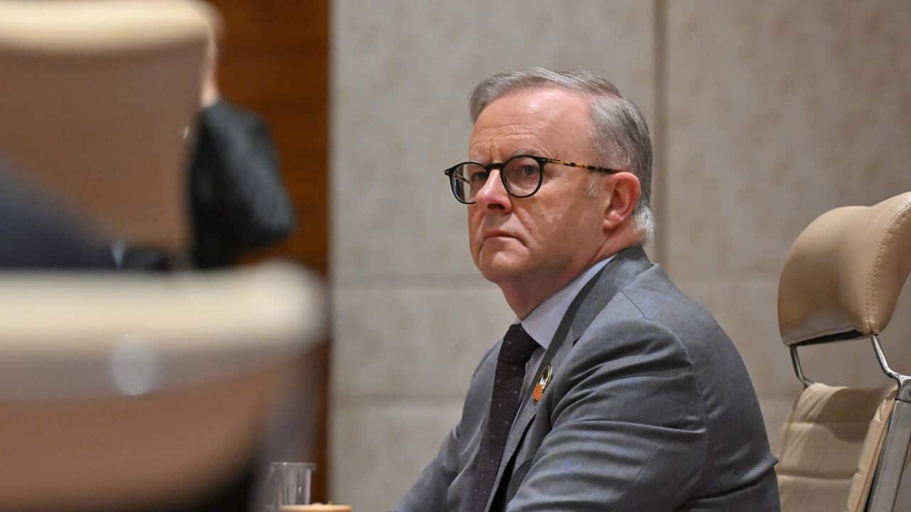 ANTHONY ALBANESE G20 SUMMIT INDIA