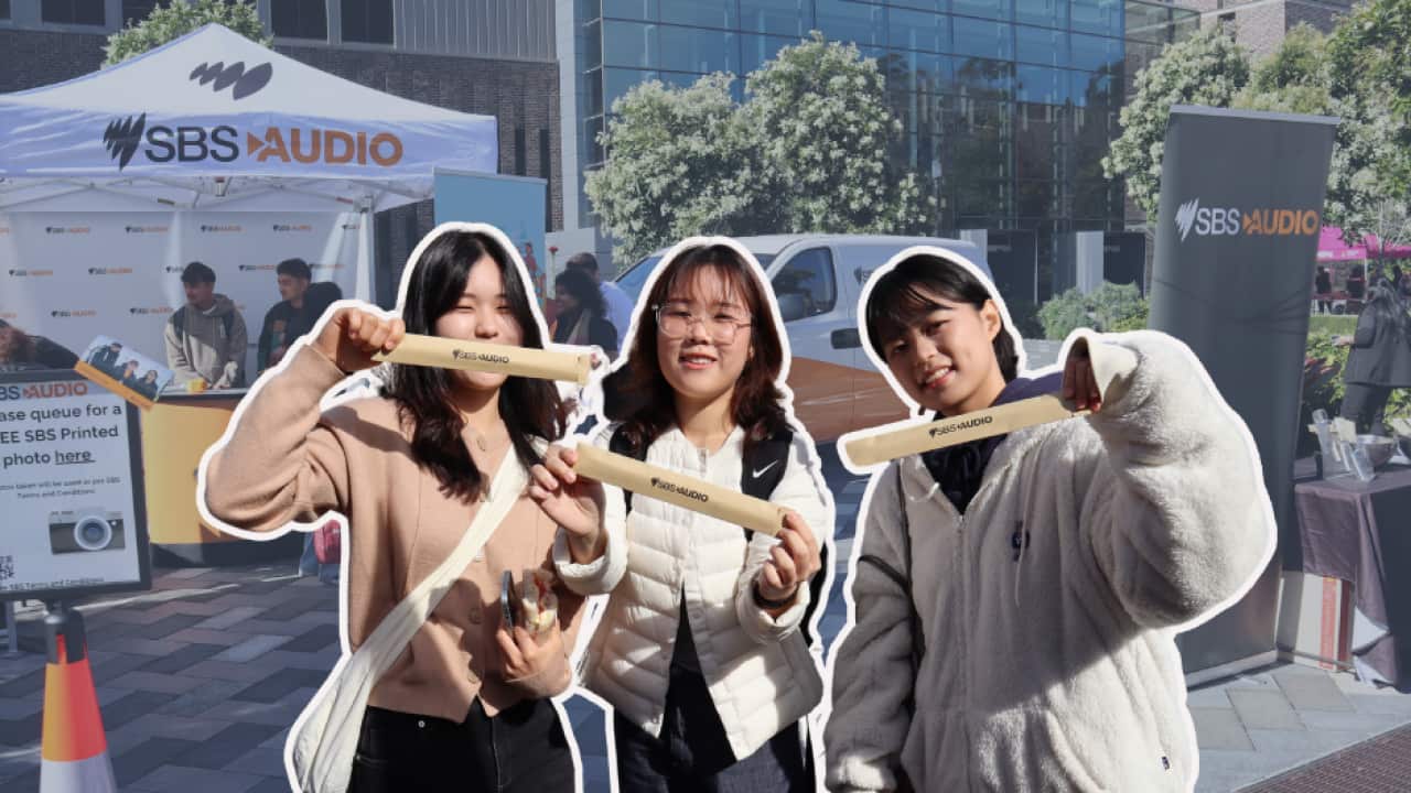 MQ International Students.png