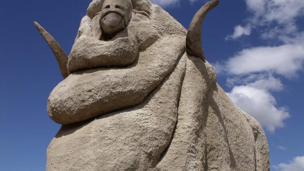 Image for read more article ''