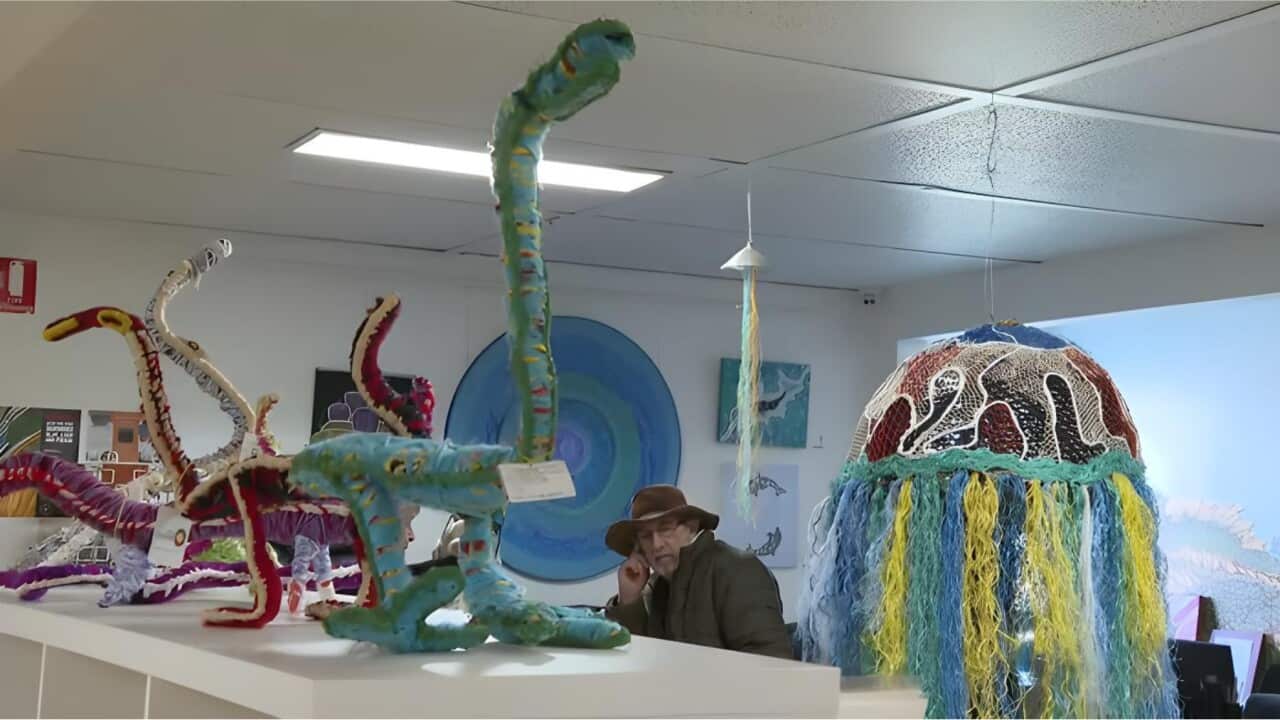 Some of the art on display in Ceduna (SBS).jpg