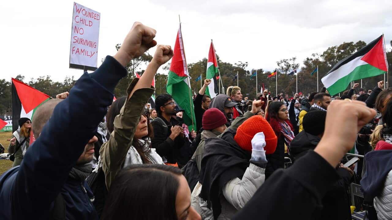 PALESTINE RALLY CANBERRA