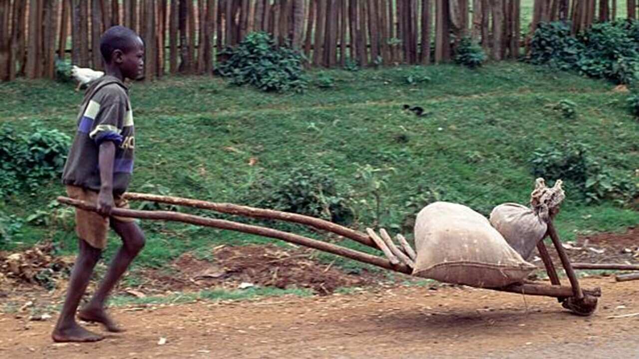 Image for read more article 'ተጨማሪ ያንብቡ'