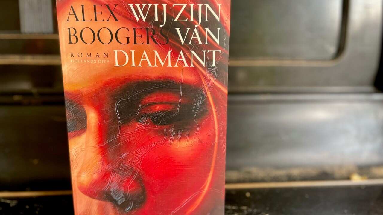 Het boek Wij zijn van diamant van Alex Boogers